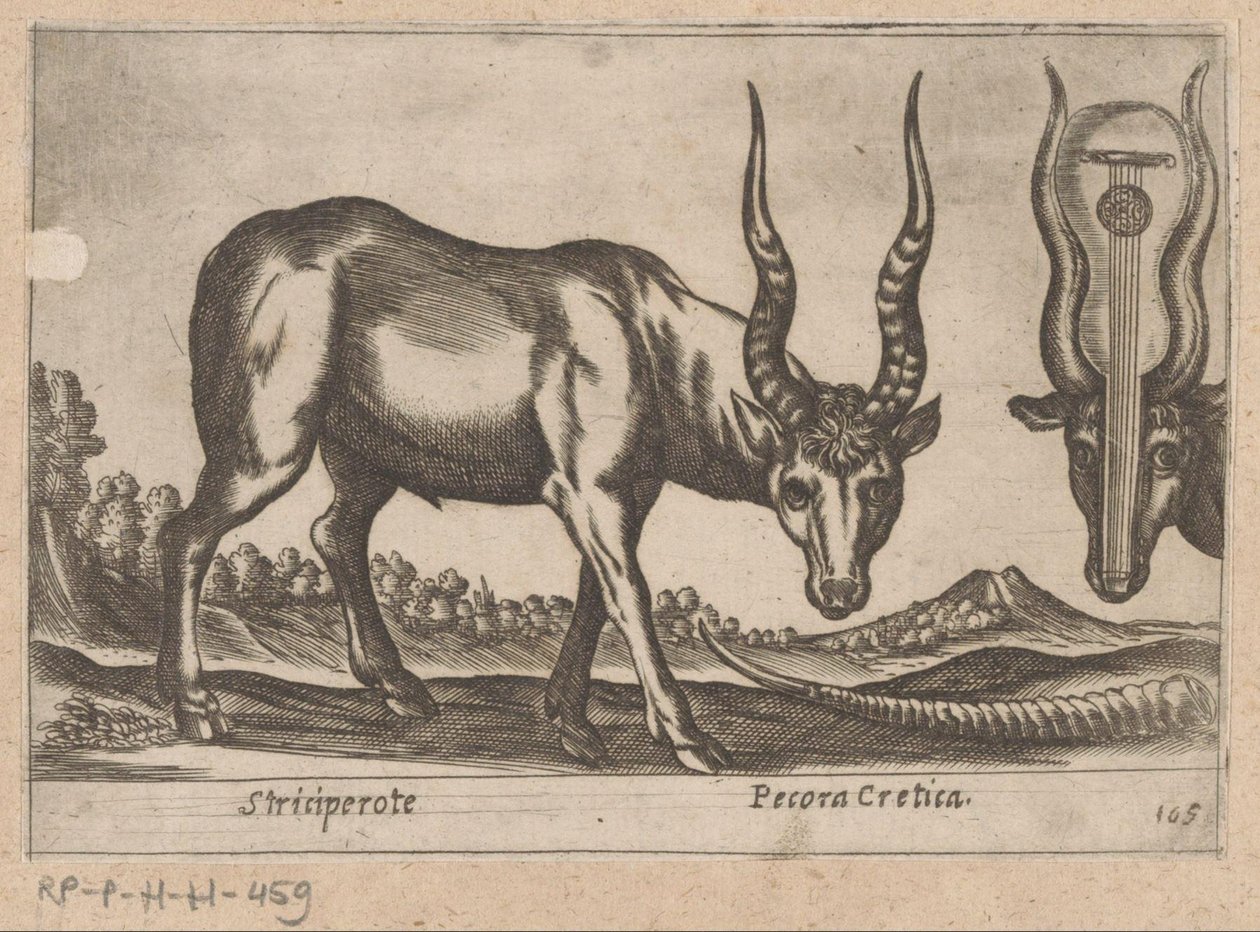 Dois antílopes Striciperote/Gado cretense (título no objeto) Dieren en fablewezens (título da série) Nova raccolta de li animali piu curiosi del mondo (título da série) de Antonio Tempesta
