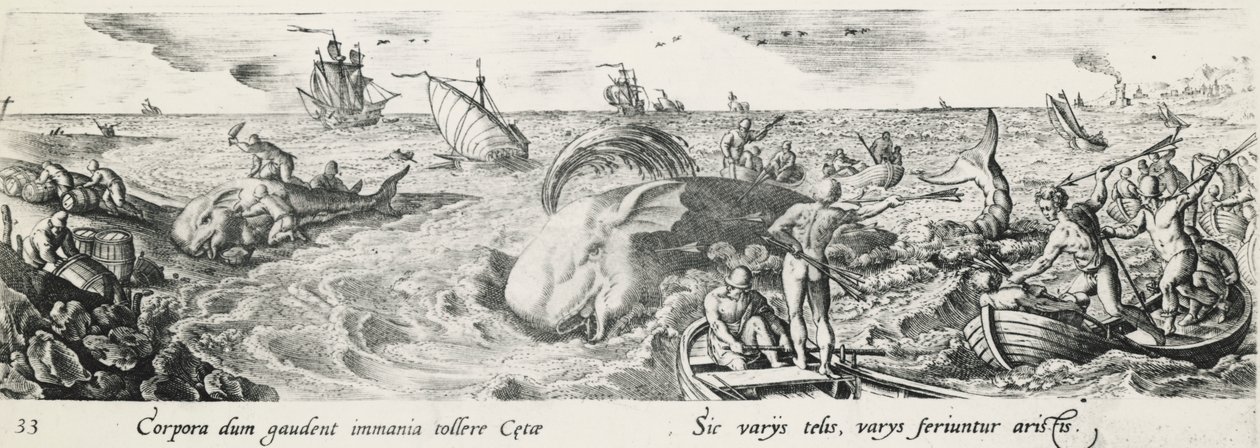 Caça às baleias, por Antonio Tempesta (1555-1630), gravura, Itália de Antonio Tempesta
