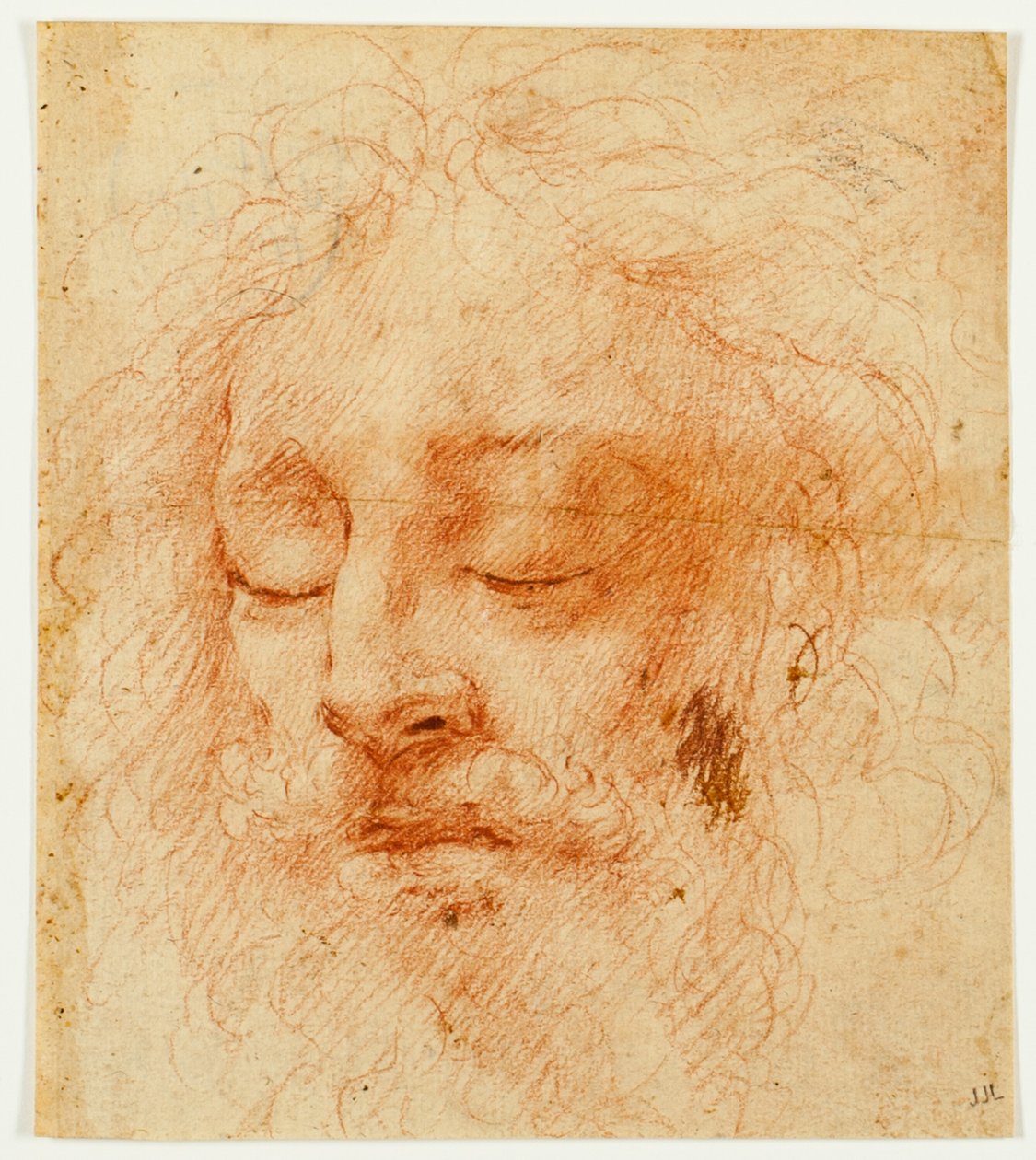 Cabeça de um homem adormecido de Antonio da Correggio