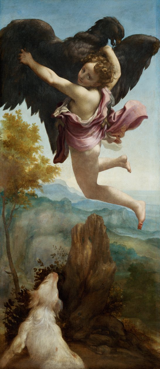 O rapto de Ganimedes de Antonio da Correggio