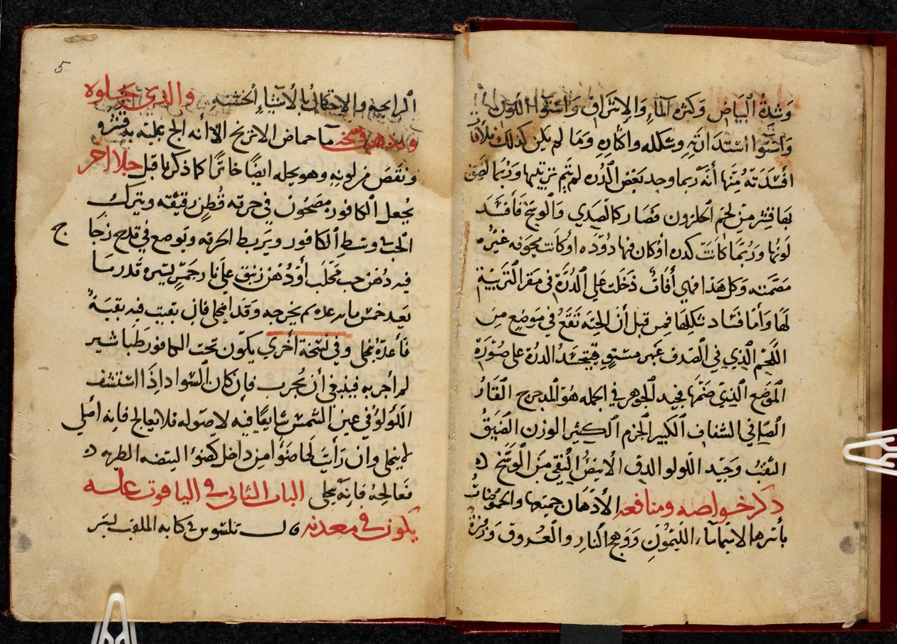 Páginas de um manuscrito, copiado em 799 AH/AD 1397, do Kitab al-Ahjar de Ahmad bin Yusuf Al-Tifashi, ou Livro sobre Pedras Preciosas. Ou. 1198 de Arabic School
