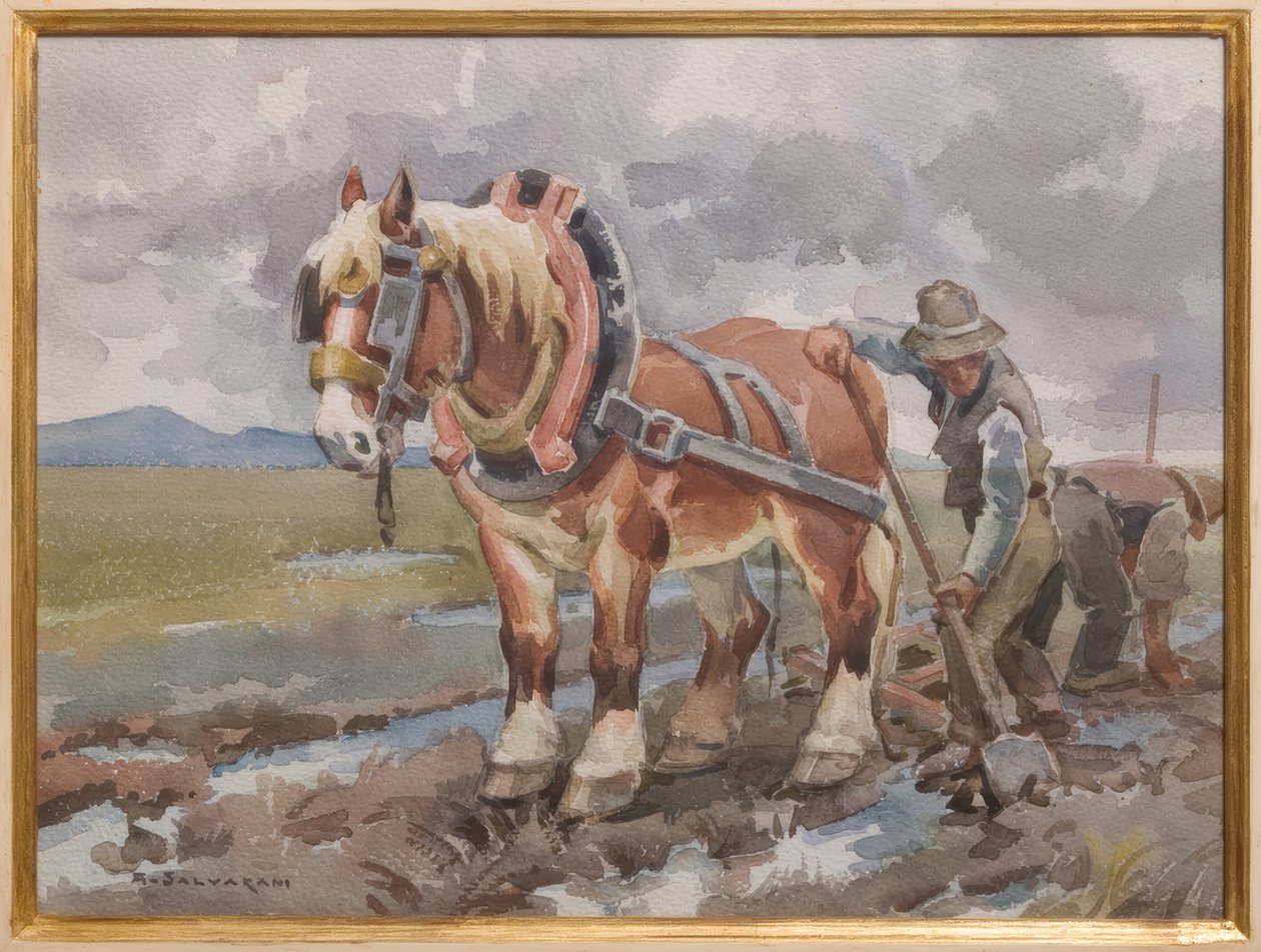 Trabalhar nos campos de Arcangelo Salvarani