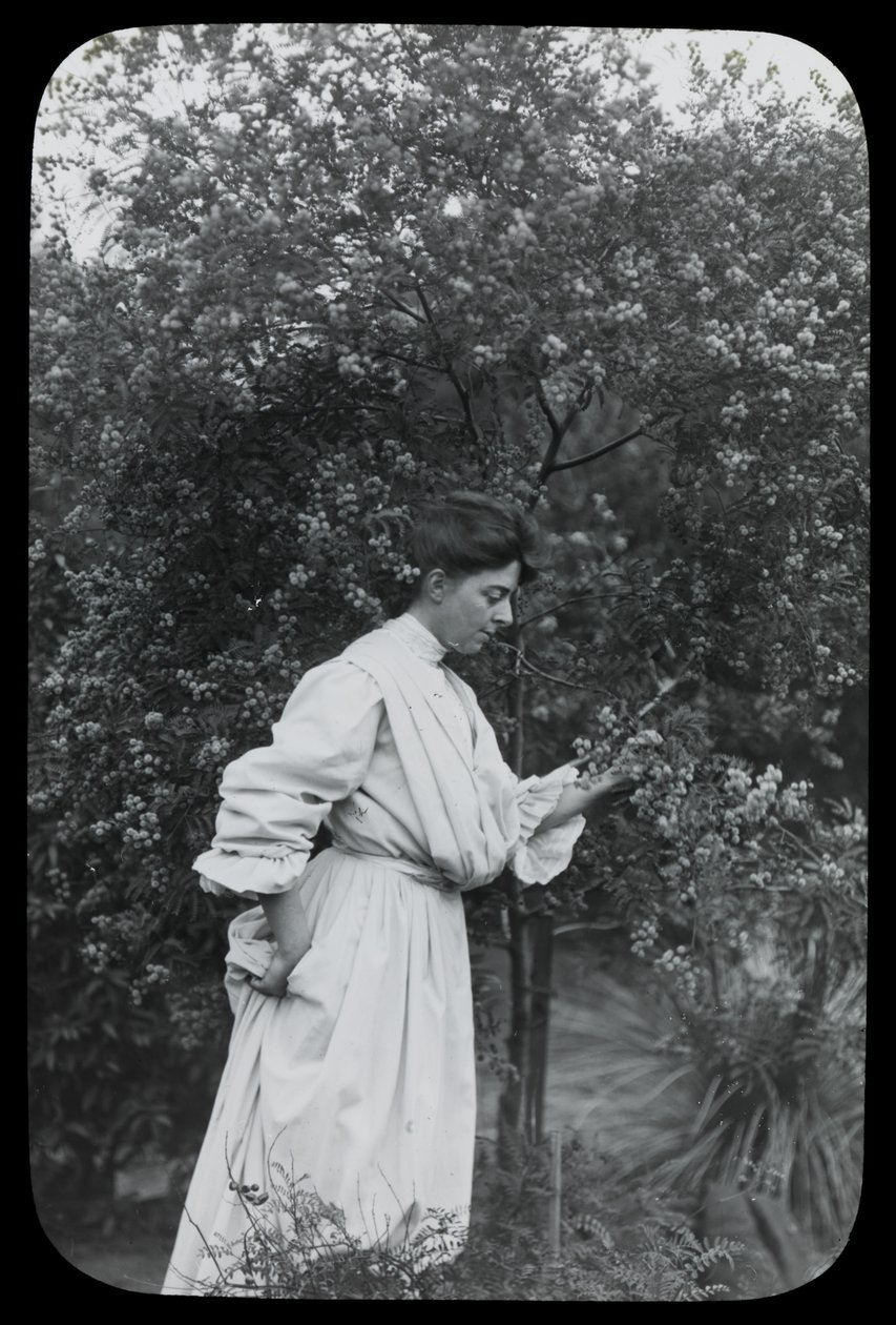 Amy Campbell com Wattle de Archibald James Campbell