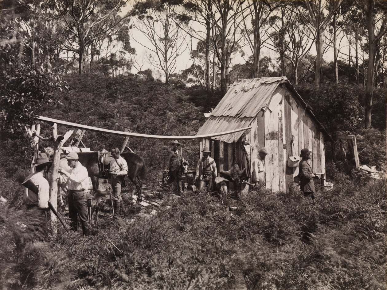 Bertie&39;s Hut, Expedição do Clube de Naturalistas de Campo para King Island de Archibald James Campbell