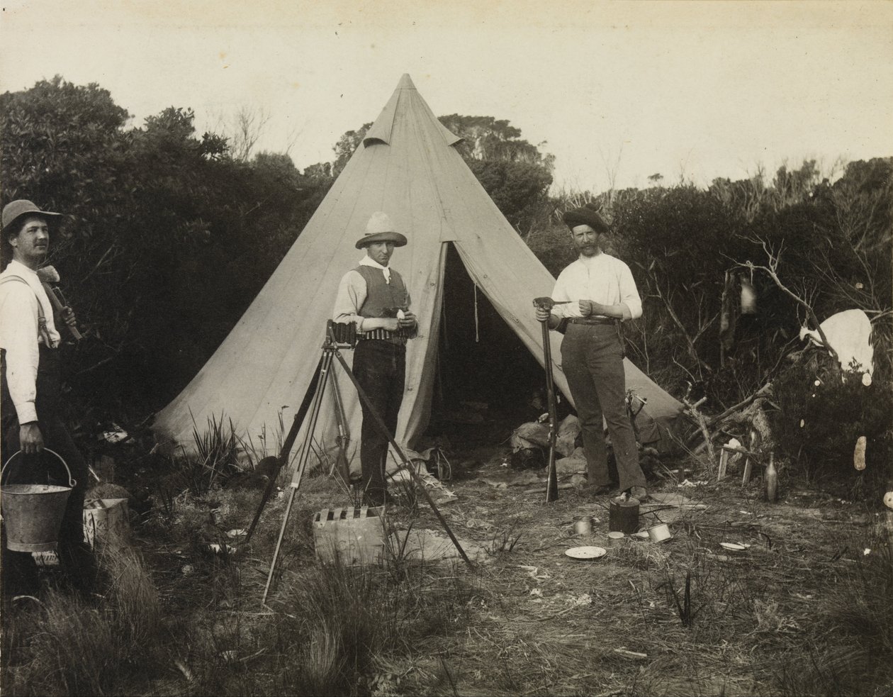 Vista do Acampamento, Expedição do Clube de Naturalistas de Campo para King Island de Archibald James Campbell