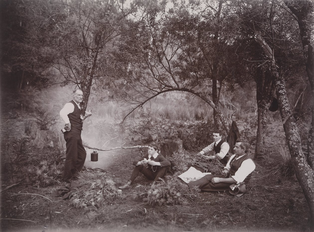 Coletando Wattle de Archibald James Campbell