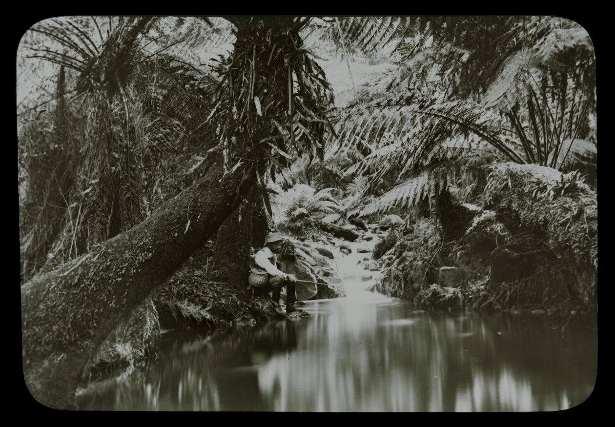 Piscina de pesca, barranco de sassafrás de Archibald James Campbell