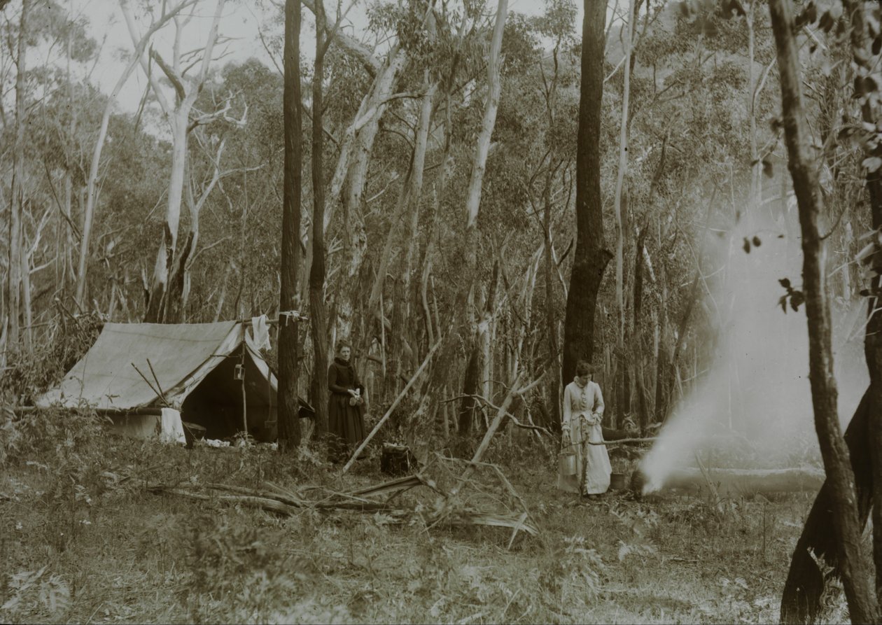 Mulheres pioneiras no desmatamento de Archibald James Campbell