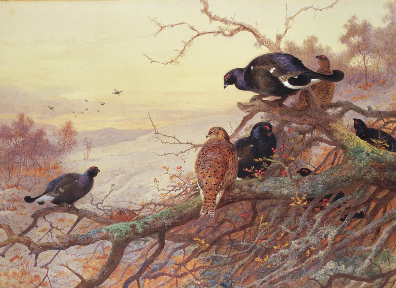 Blackgame no inverno de Archibald Thorburn
