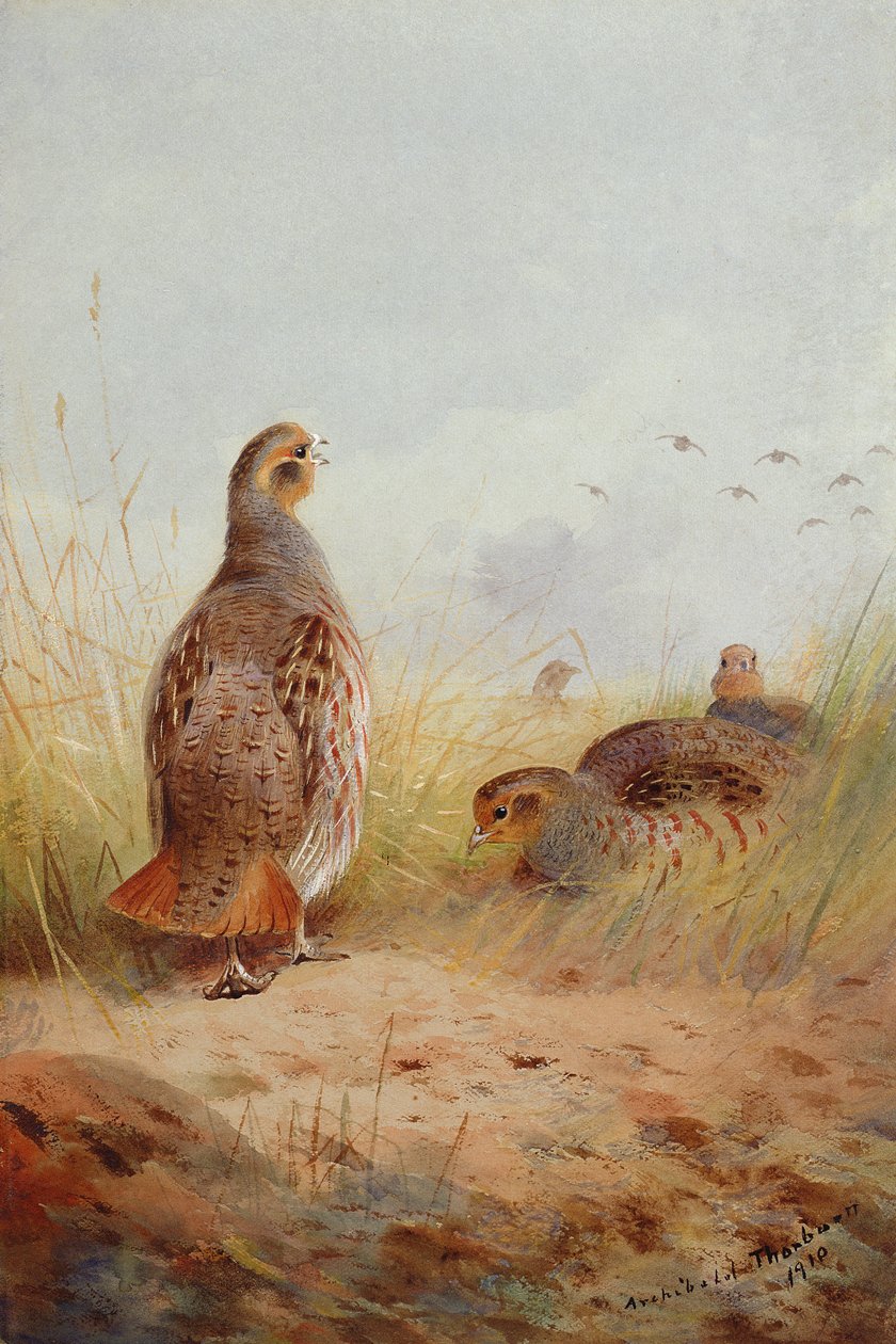 Três Portais Ingleses, 1910 (wc e guache sobre papel) de Archibald Thorburn