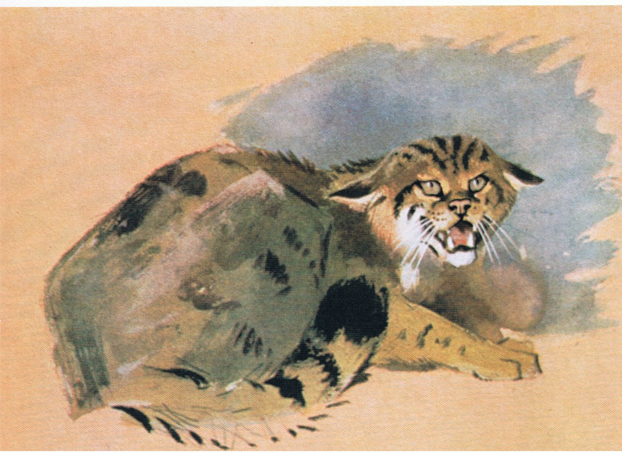 Wildcat, pub. por Book Club Associates, 1972 de Archibald Thorburn