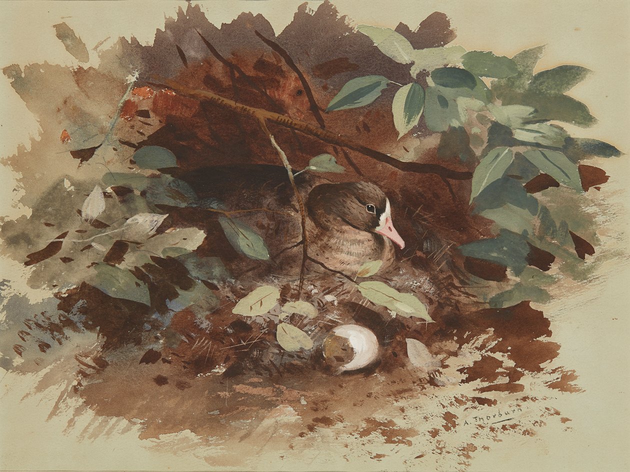 paisagem de Archibald Thorburn