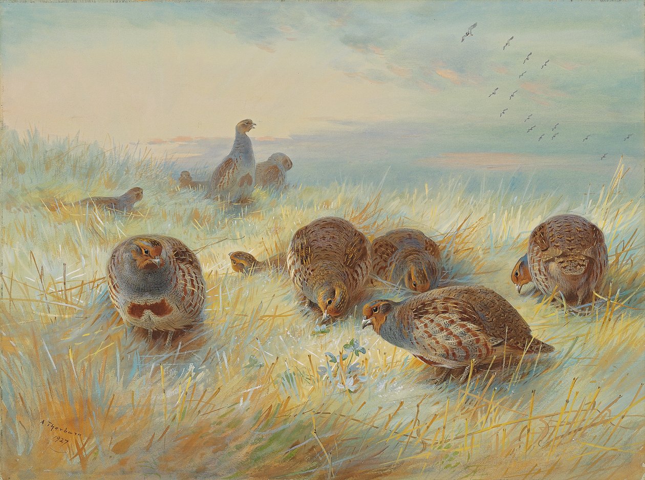 Um amanhecer gelado de Archibald Thorburn