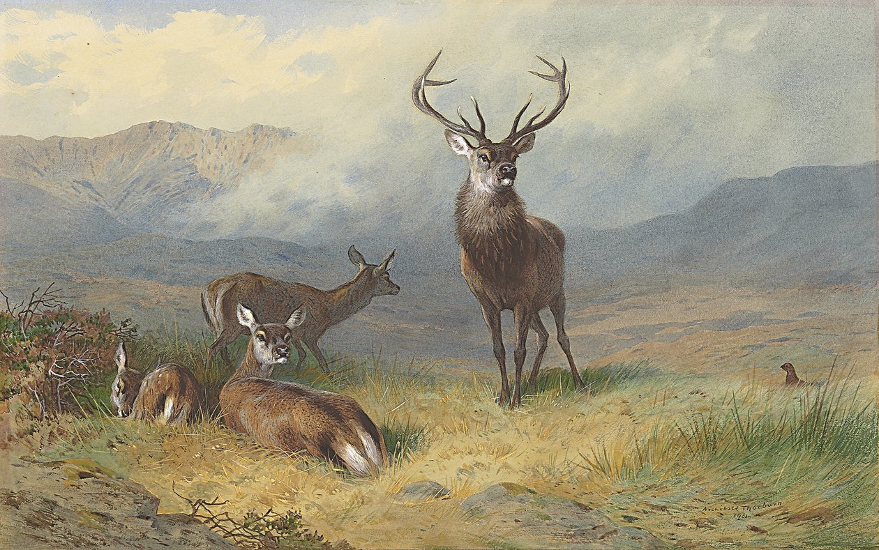 Monarca do Glen de Archibald Thorburn