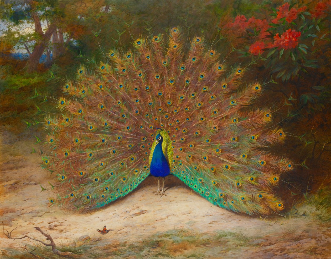 Pavão e borboleta pavão de Archibald Thorburn