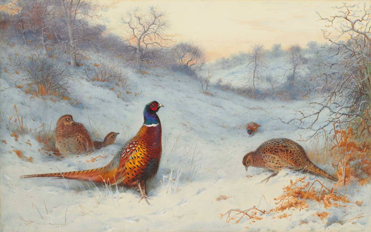 Faisão na neve de Archibald Thorburn