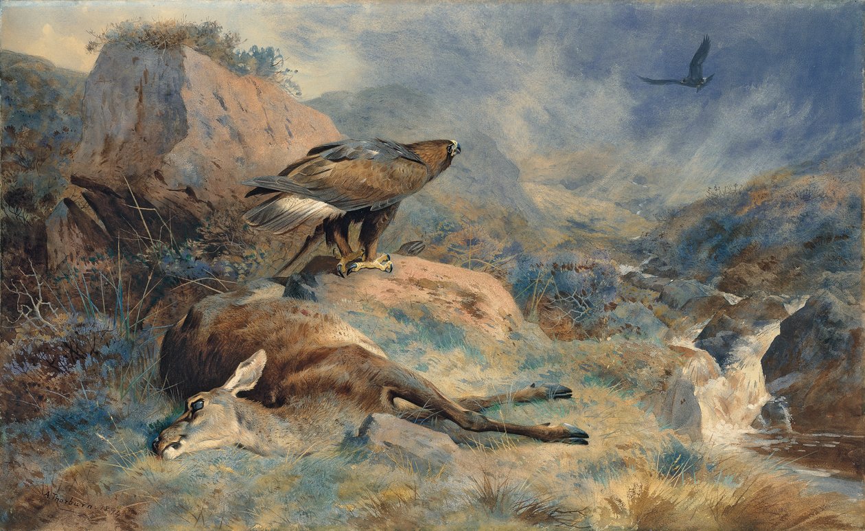 The Lost Hind de Archibald Thorburn
