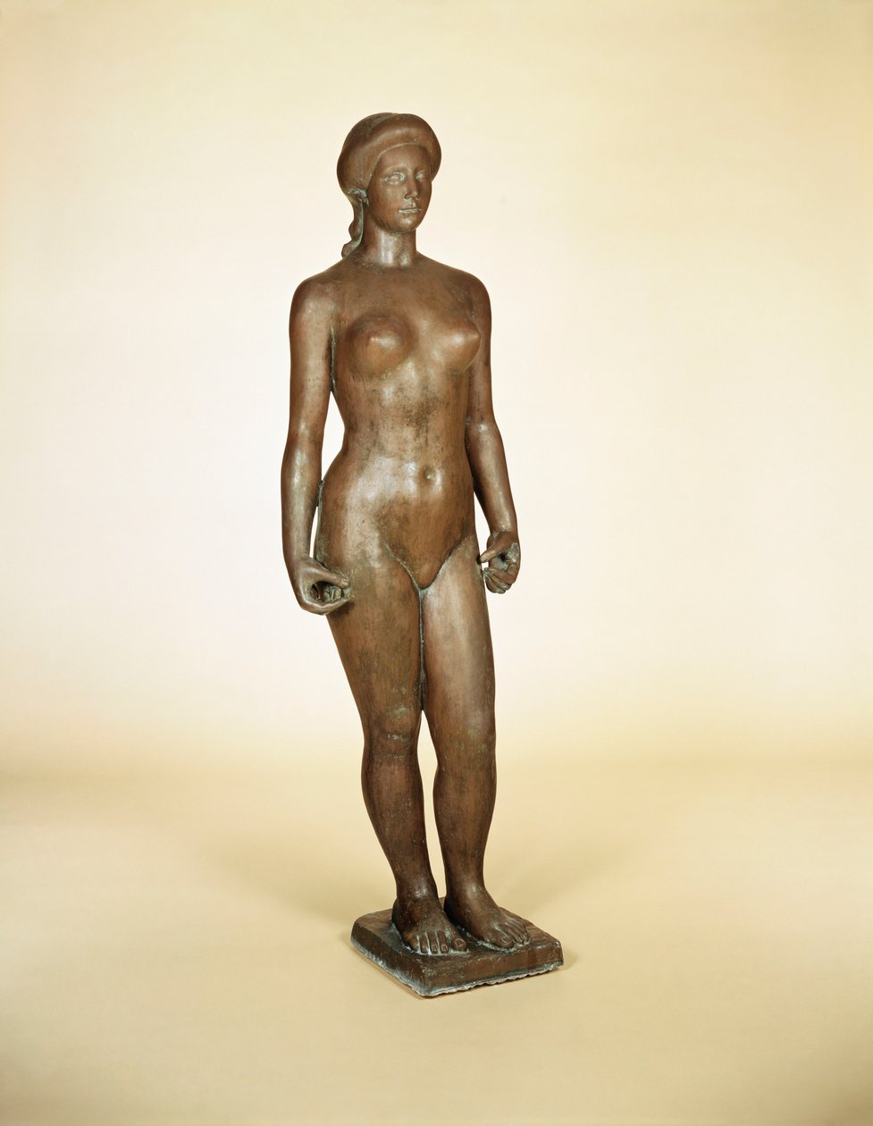 Estudo para a flora de Aristide Maillol