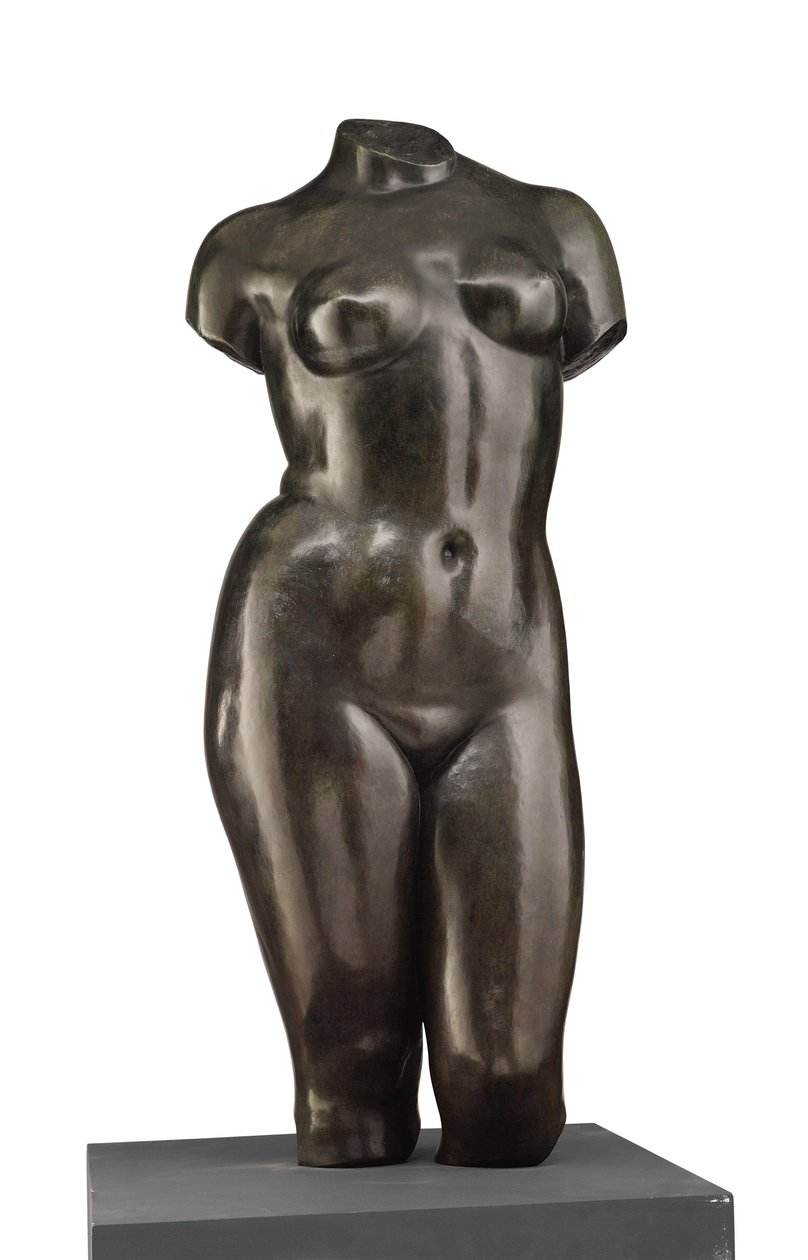 Torso de Vênus (vista frontal) de Aristide Maillol