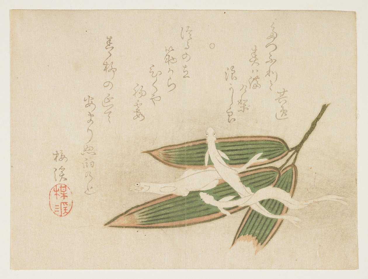 (Whitebait e folhas de bambu), c. 1860 de Ariwara Baikei
