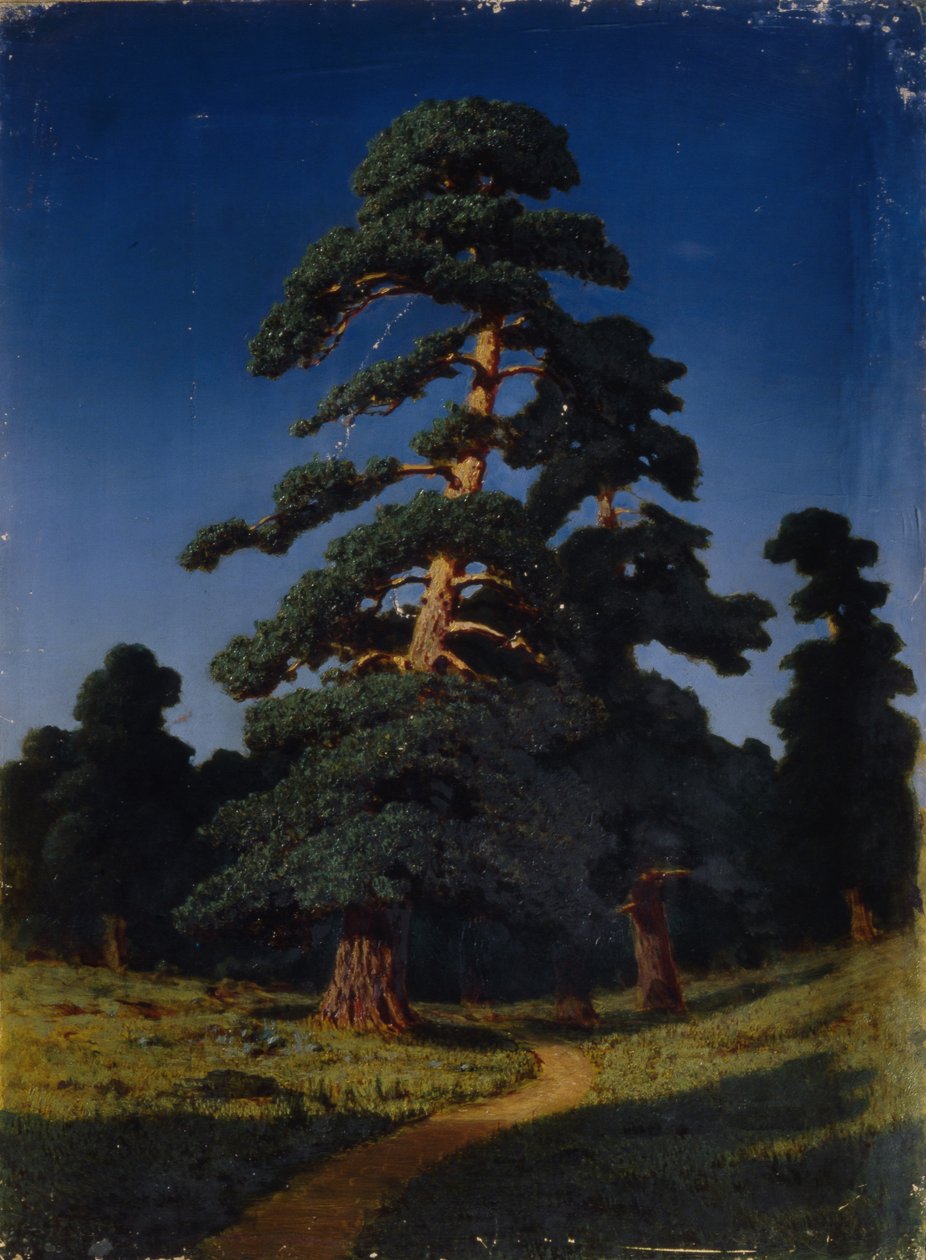 Pinheiro de Arkhip Ivanovich Kuindzhi