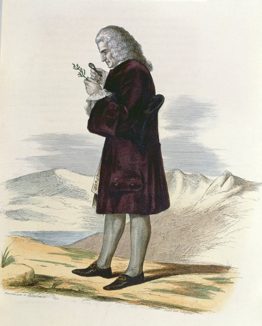 Bernardo de Jussieu (1699-1777) c.1820 de Armand Guilleminot
