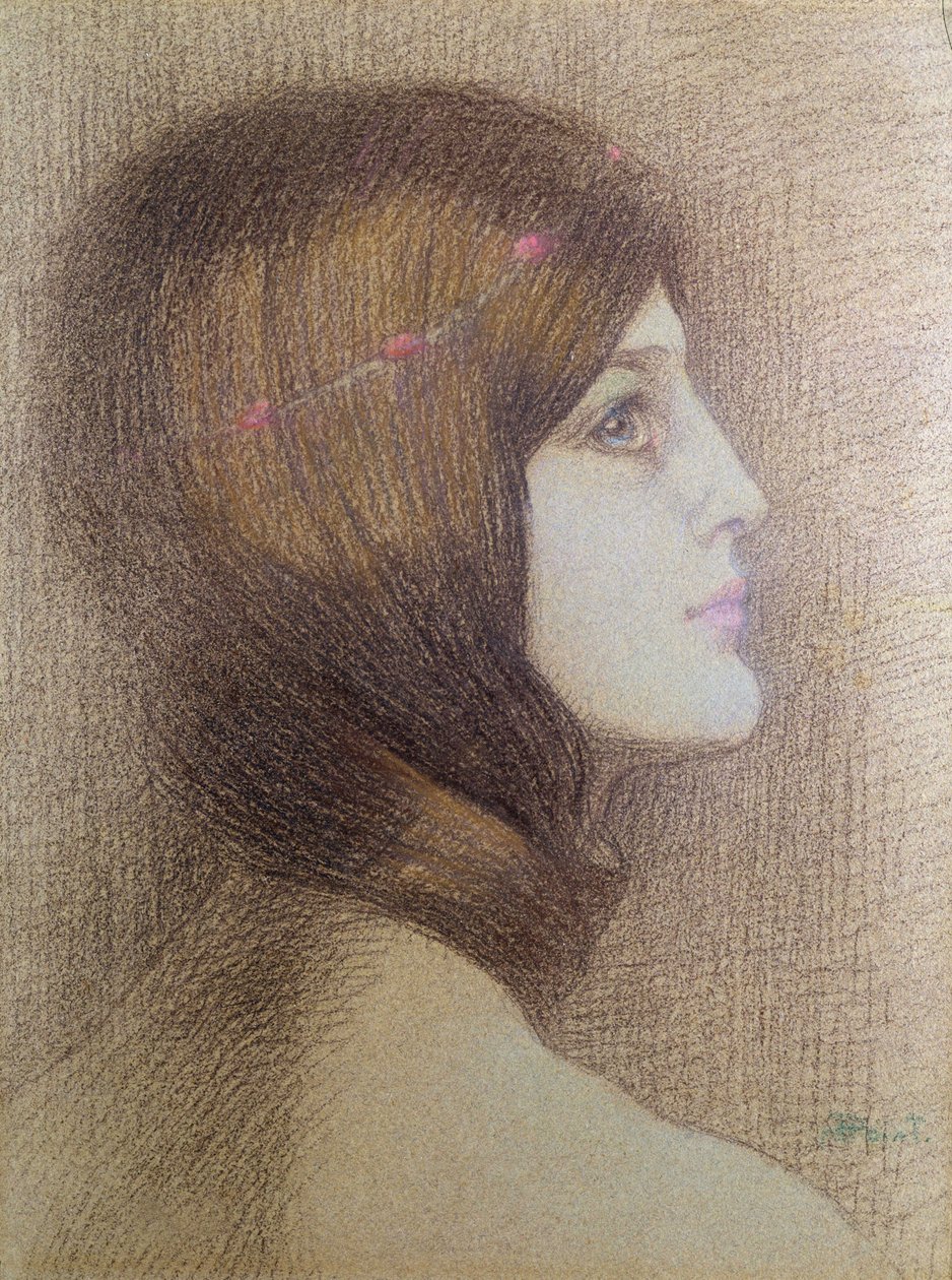 Retrato de uma mulher de Armand Point