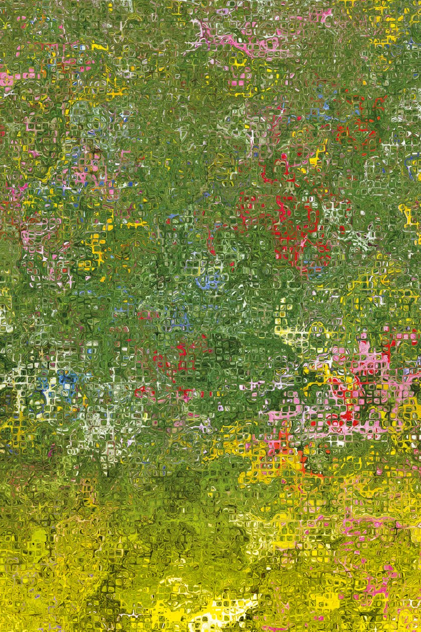 Prado de flores de Armin Mumper