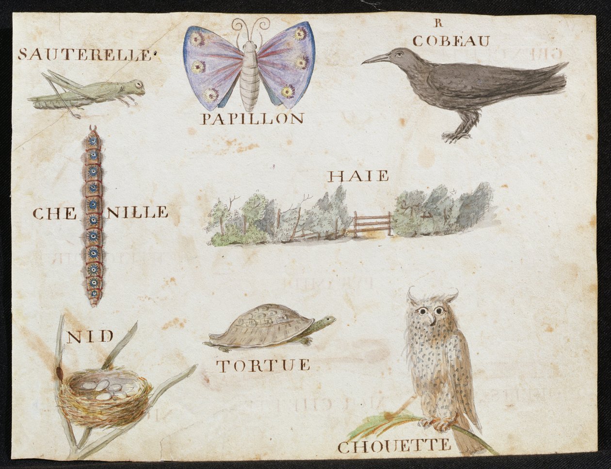Ilustrações de "Um Livro do Alfabeto Francês de 1814", pub. de Charles Plante Fine Arts, 1814 de Arnaud de Beauregard