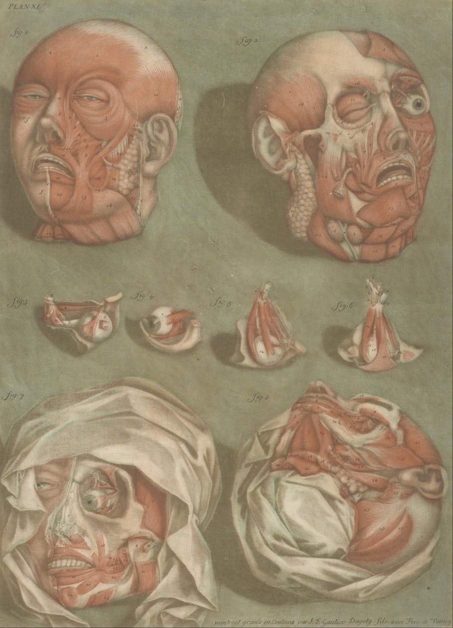 Ilustração 11, Estudos de Cabeças e Olhos de Arnauld Eloi Gautier DAgoty