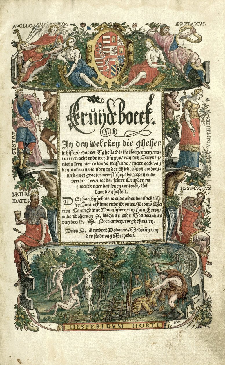 Dodoens Cruijdeboeck com representações de plantas de Arnaud Nicolaï