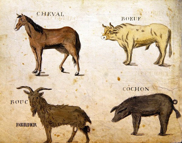 Ilustrações de 