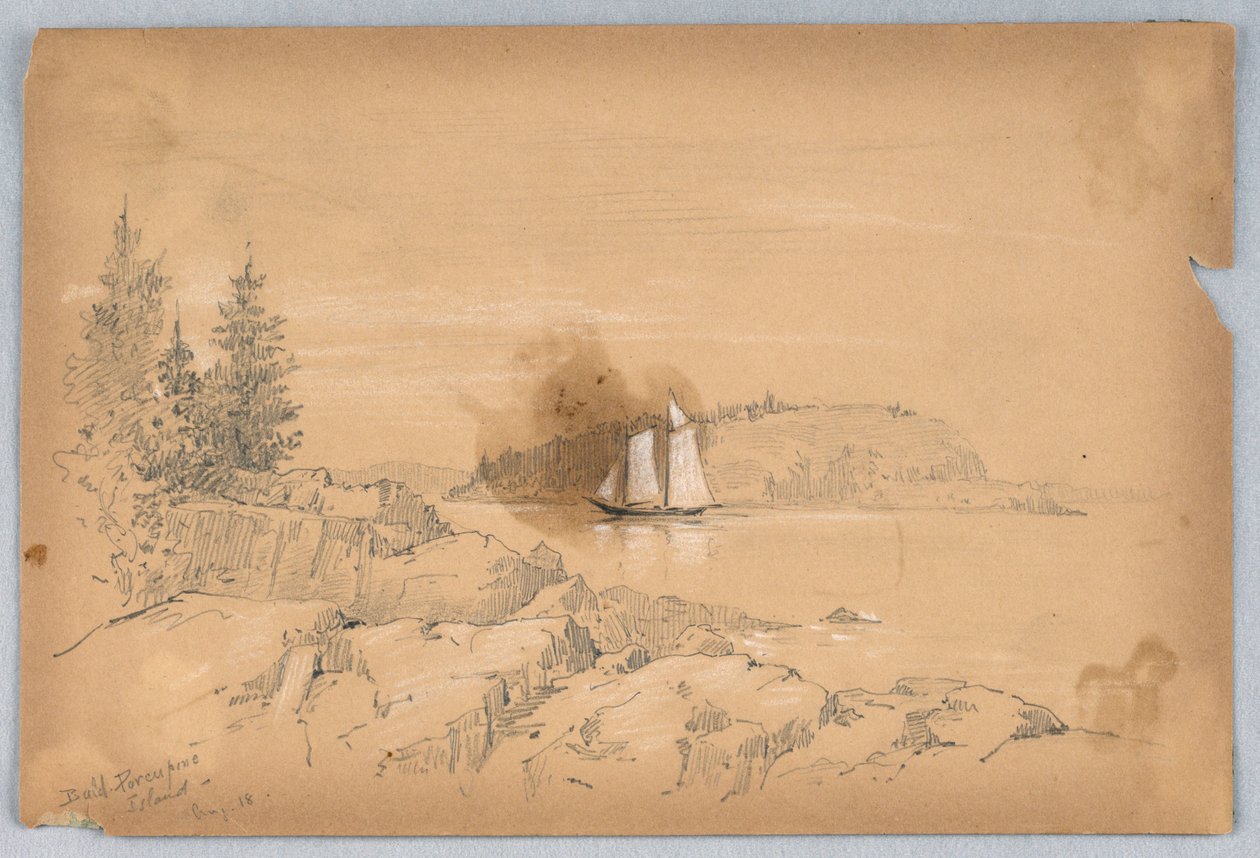 Ilha do porco-espinho careca de Arnold William Brunner