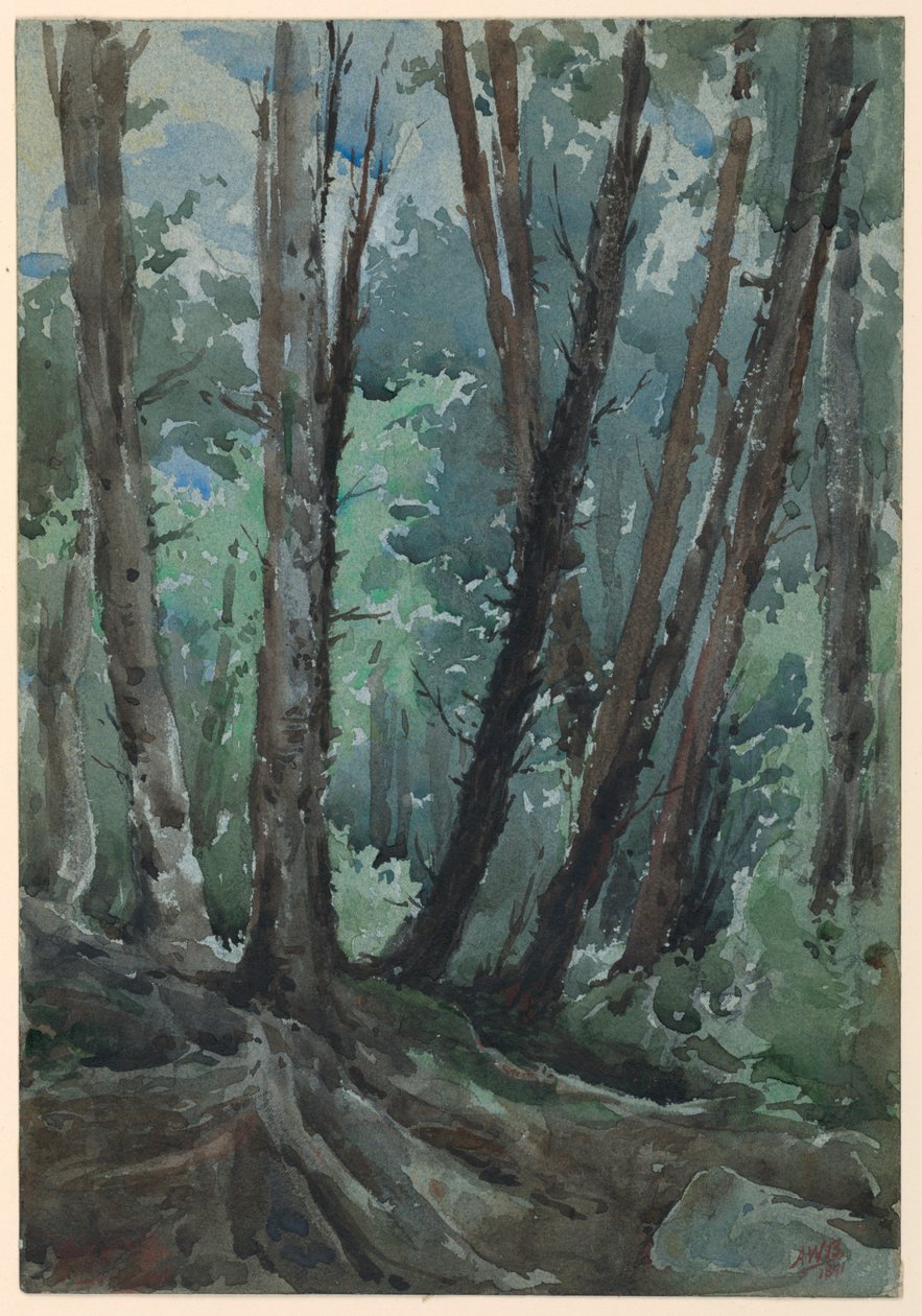 Floresta de Arnold William Brunner