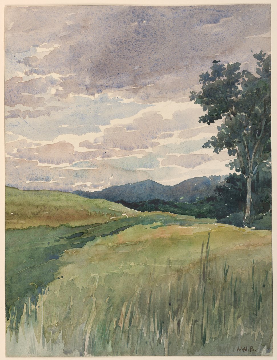 Paisagem do Campo de Arnold William Brunner
