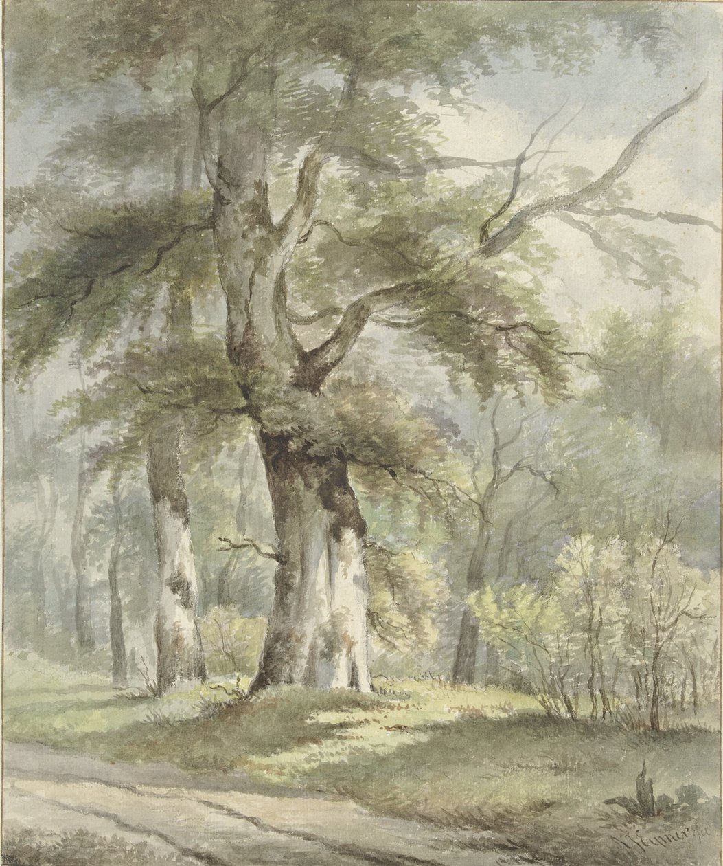 vista da floresta de Arnoldus Johannes Eymer