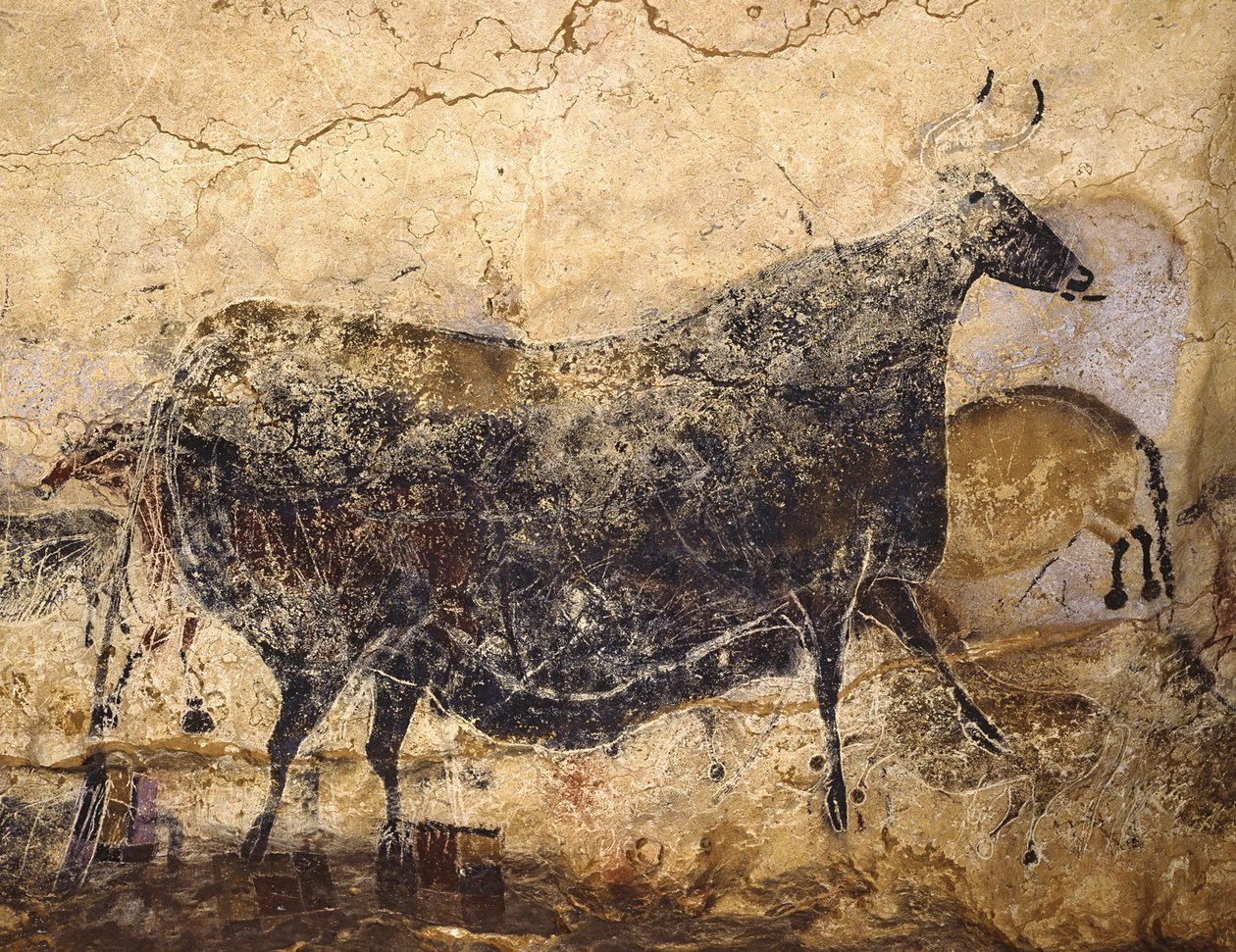 Vaca Negra. Pintura rupestre de Lascaux, ca 16.000-15.000 aC. de Art of the Upper Paleolithic.