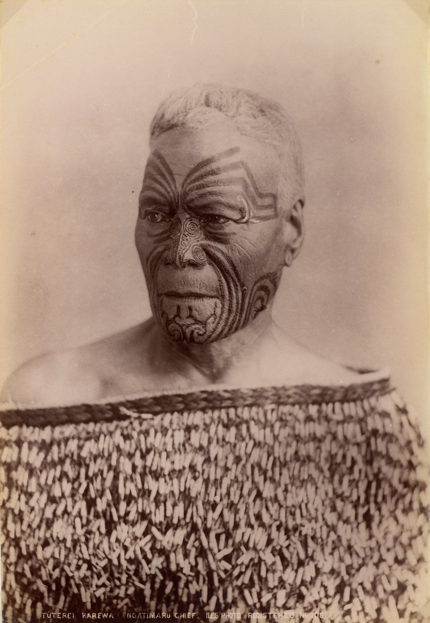 Escavações de tribos Ngatimaru, Ilha do Norte, Nova Zelândia de Arthur James Iles
