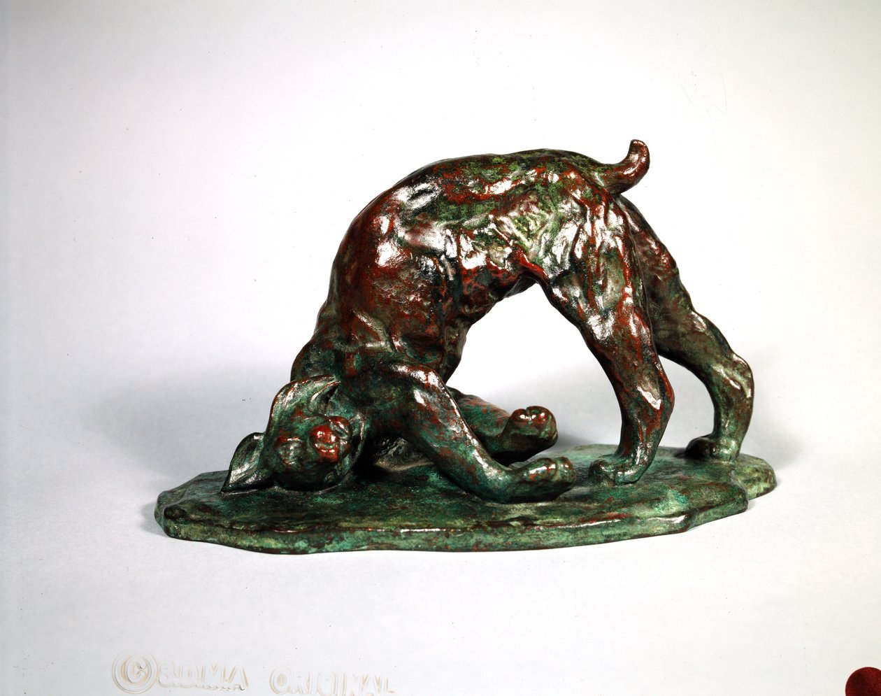 Skunked Lynx, 1909 (bronze) de Arthur Putnam