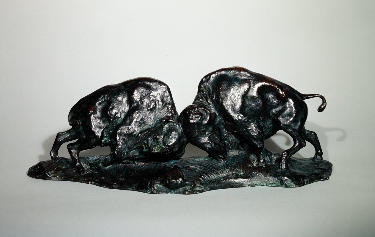 Dois Búfalos Lutadores, 1900 (bronze) de Arthur Putnam