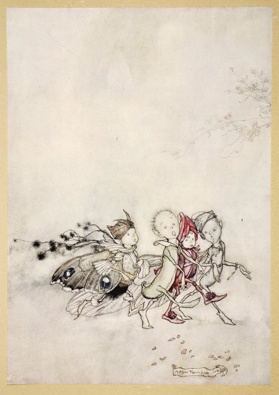 Digite Peasebottom, Cobweb, Moth e Mustardseed, ilustração de &39;Sonho de noites de verão&39; por William Shakespeare, 1908 de Arthur Rackham