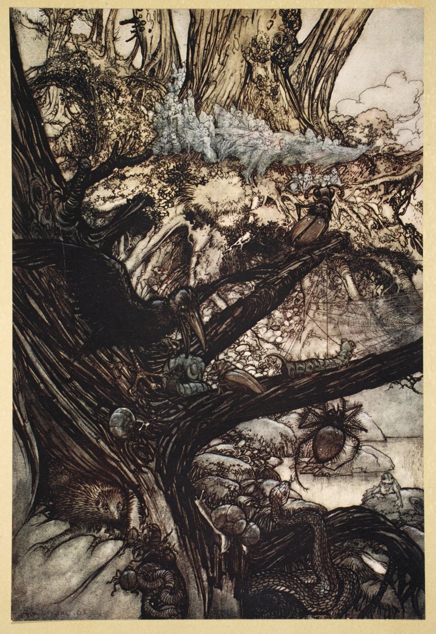 Nunca prejudique, Nem feitiço nem encanto, Venha a nossa adorável senhora próxima, ilustração de &39;Sonho de noites de verão&39; por William Shakespeare, 1908 de Arthur Rackham