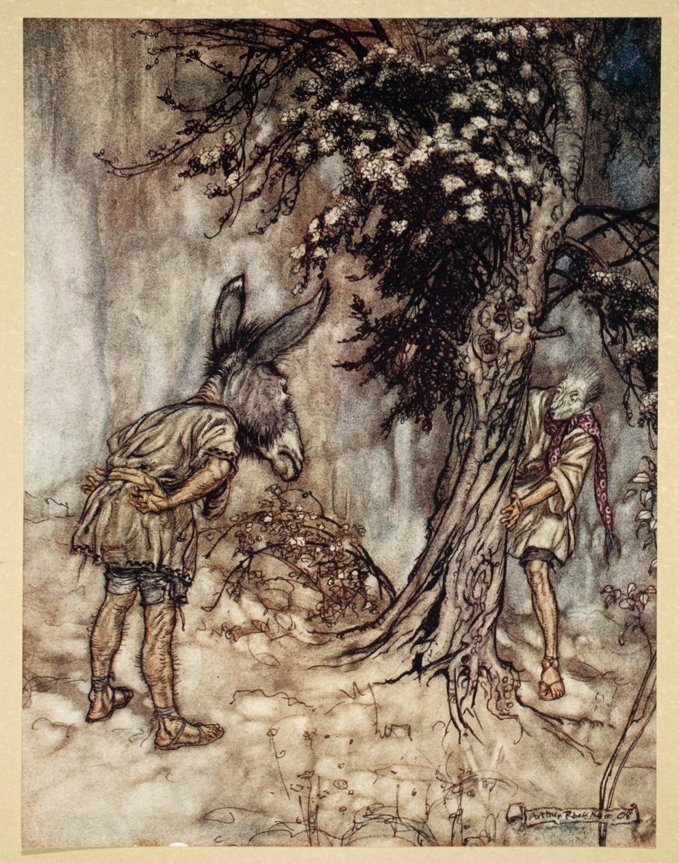 O Fundo, tu mudaste !, ilustração de &39;Sonho de Noites de Verão&39; de William Shakespeare, 1908 de Arthur Rackham
