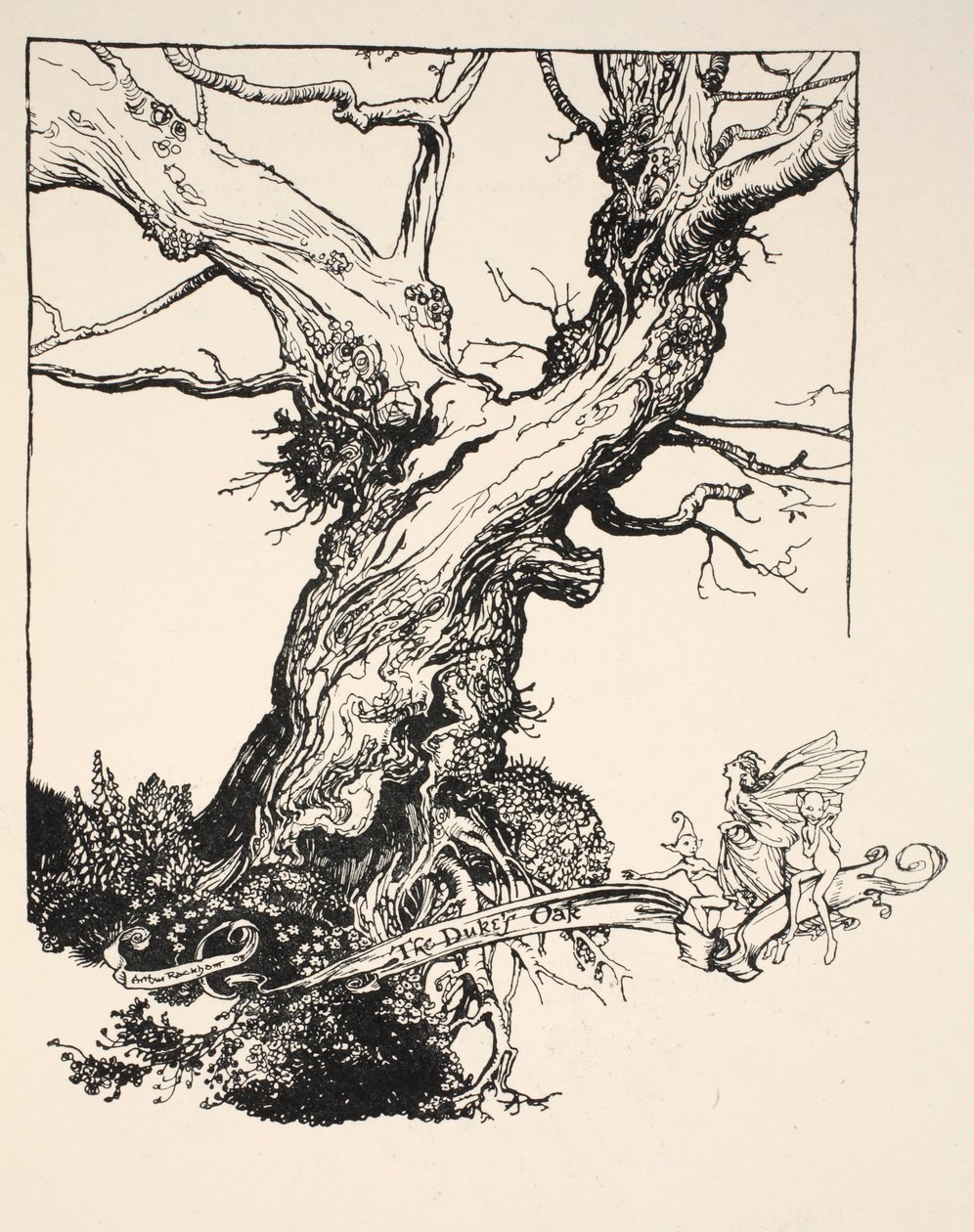 O Carvalho do Duque, ilustração de &39;Sonho de Noites de Verão&39;, de William Shakespeare, 1908 de Arthur Rackham