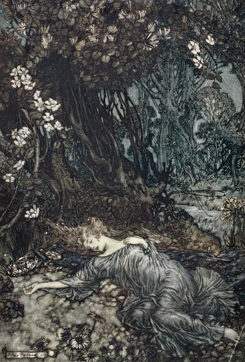 Titânia deitado dormindo, ilustração de &39;Sonho de noites de verão&39; por William Shakespeare, 1908 de Arthur Rackham