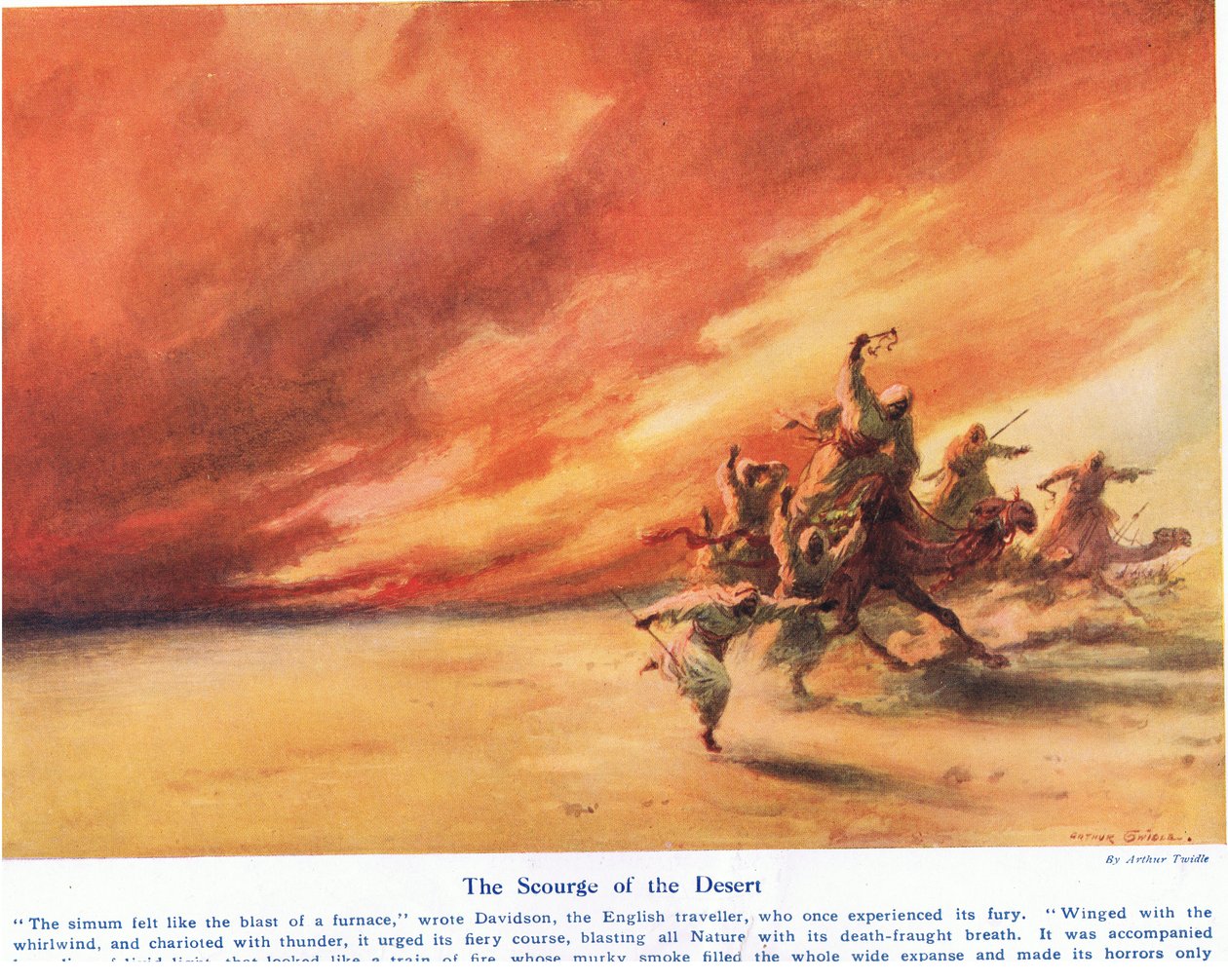 O Flagelo do Deserto, ilustração de "Maravilhas da Terra e do Mar", publicado por Cassell, Londres, 1914 de Arthur Twidle