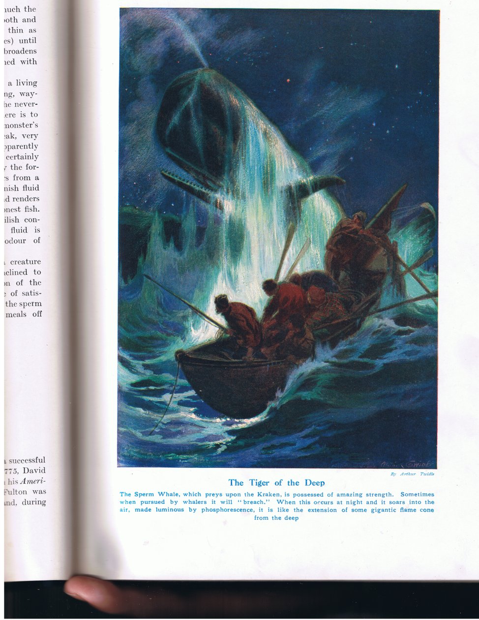 O Tigre das Profundezas, ilustração de "Maravilhas da Terra e do Mar", publicado por Cassell, Londres, 1914 de Arthur Twidle