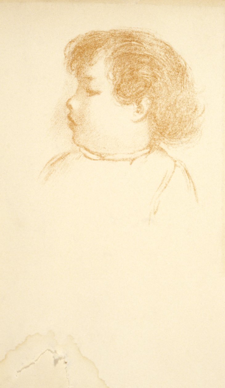 Rabo de Arthur B. Davies