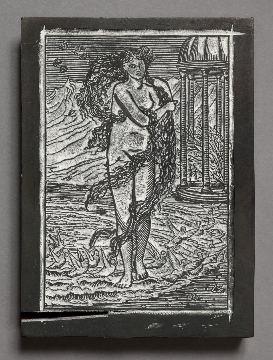A História de Cupido e Psique - Vénus, segundo Edward Coley Burne-Jones (bloco de madeira gravado) de Arthur Burgess