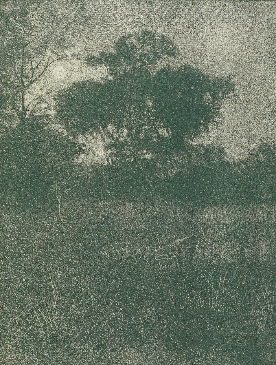 Luar de Arthur E. Becher